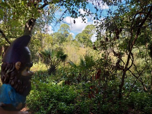 Pascagoula River Audubon Center by null