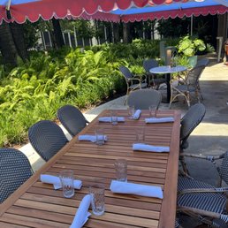 SADELLE’S COCONUT GROVE - Updated March 2026 - 492 Photos & 241 Reviews ...