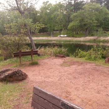 Tyler State Park - Parks Near Me - Tyler, Texas Tyler State Park - Parks Near Me - Tyler, Texas