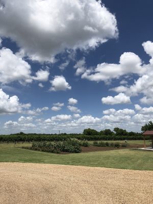 Eden Hill Winery and Vineyard by null