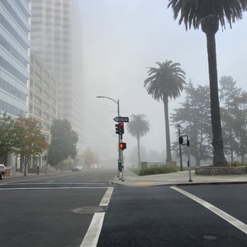 Snow Park - Snow Park soaked in fog - Parks Near Me - Oakland, California Snow Park - Snow Park soaked in fog - Parks Near Me - Oakland, California
