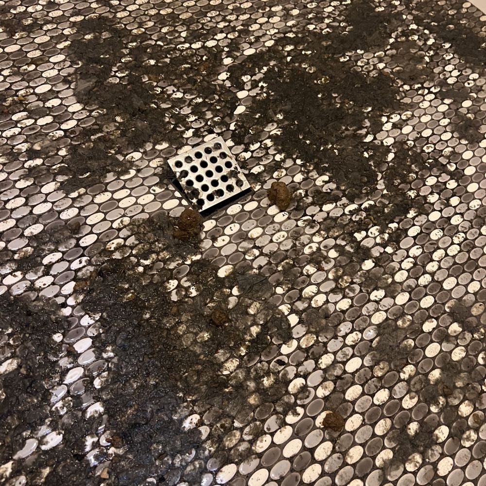 REBL Rentals - Sewage and FECES in the main shower - Vacation Rentals Near Me REBL Rentals - Sewage and FECES in the main shower - Vacation Rentals Near Me