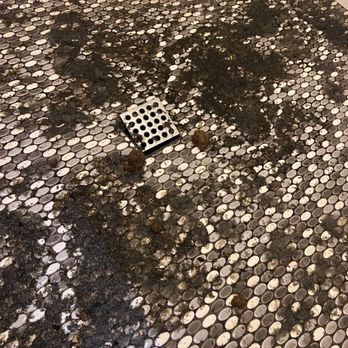 REBL Rentals - Sewage and FECES in the main shower - Vacation Rentals Near Me