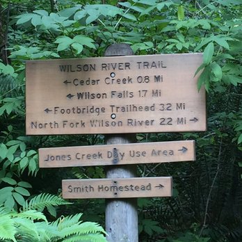 Tillamook Forest Center - Various trails adjacent to the center - Parks Near Me - Tillamook, Oregon Tillamook Forest Center - Various trails adjacent to the center - Parks Near Me - Tillamook, Oregon