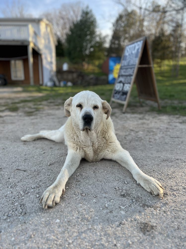 LOST HILL LAKE EVENTS Updated September 2024 123 Photos 2300 Mill Hill Rd, Saint Clair