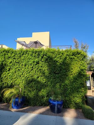 Bespoke Inn Scottsdale by null