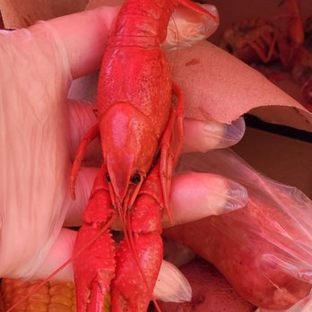 Nola Crawfish King - Caterers Near Me - New Orleans, Louisiana Nola Crawfish King - Caterers Near Me - New Orleans, Louisiana