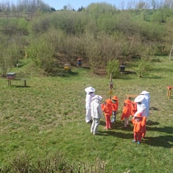Parc départemental des Hautes Bruyères - Petits et grands à la découverte des ruches (non, ce ne sont pas des cosmonautes )
