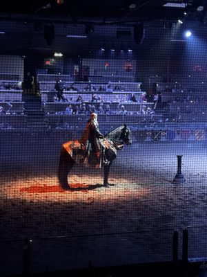 Medieval Times Dinner & Tournament by null