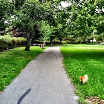 Moraga Commons Park - Cora loves the trail around the park! - Parks Near Me - Moraga, California Moraga Commons Park - Cora loves the trail around the park! - Parks Near Me - Moraga, California