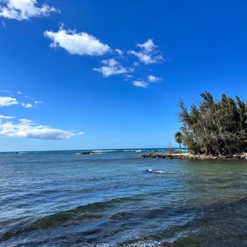 Hawaii Turtle Tours - Turtle Beach - Tours Near Me - Honolulu, Hawaii