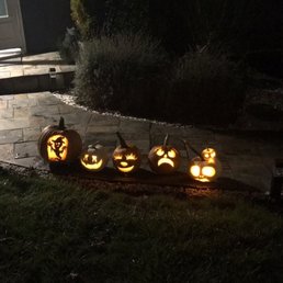White, green, orange, big, small, smooth, bumpy...pumpkin varieties galore! White, green, orange, big, small, smooth, bumpy...pumpkin varieties galore!
