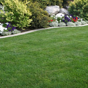 Norris Lawn Care & Landscaping - a landscaped lawn - Lawn Services Near Me Norris Lawn Care & Landscaping - a landscaped lawn - Lawn Services Near Me
