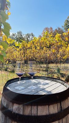 Limoges Cellars - Vineyard, Farm & Winery by null