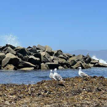 Venice Statepark - The Three Amigos - Beaches Near Me - Venice, California