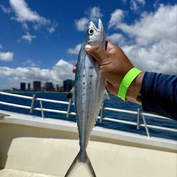 Blue Ocean Hawaii - Fishing Near Me - Honolulu, Hawaii Blue Ocean Hawaii - Fishing Near Me - Honolulu, Hawaii