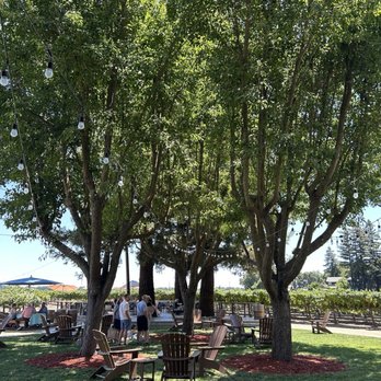 Bogle Vineyards - Outdoor area - Wineries Near Me - Clarksburg, California