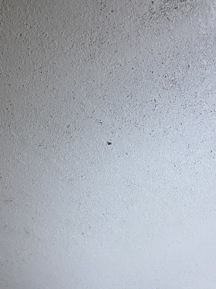 TOWNHOUSE MOTEL Updated August 2024 18 Photos 1308 Church Ave