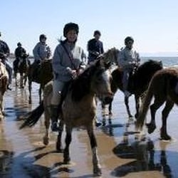 Ogmore Farm Riding Centre
