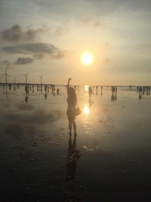 Gaomei Wetlands by null