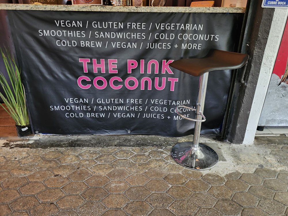 pink-coconut-quetzal-canc-n-quintana-roo-mexico-vegan