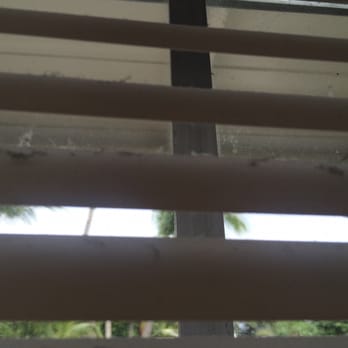 Sun Outdoors Key Largo - Dirty curtains - RV Parks Near Me - Key Largo, Florida Sun Outdoors Key Largo - Dirty curtains - RV Parks Near Me - Key Largo, Florida
