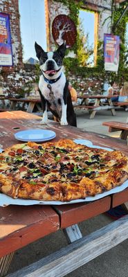 MadTree Brewing by null