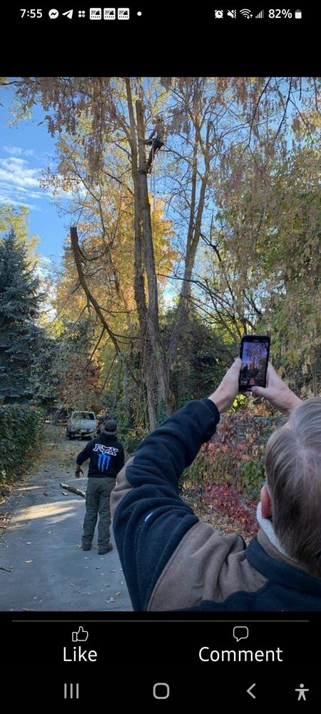 Samurai Sawyer Tree Care - tree service in Salt Lake City, UT