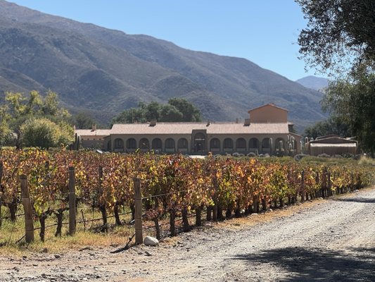 Colomé Winery by null