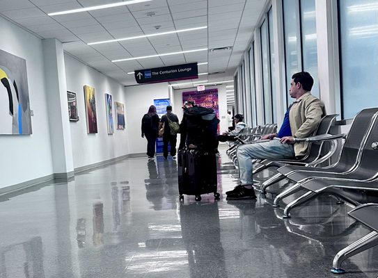 The Centurion by null