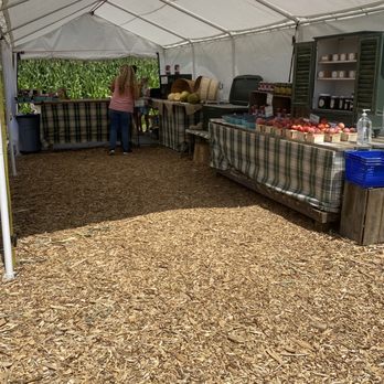 Maegog Market - a woman standing under a tent - Farmers Market Near Me - Salem, Connecticut
