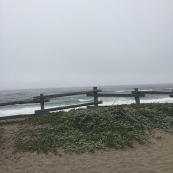 Point Reyes South Beach - Here for a picnic with the hubby and the puppies. - Beaches Near Me - Inverness, California Point Reyes South Beach - Here for a picnic with the hubby and the puppies. - Beaches Near Me - Inverness, California