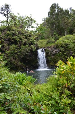 Pua'a Ka'a Falls by null