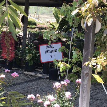 Roseland Nursery - 6 feet away please - Nurseries & Gardening Near Me - Rainbow, California
