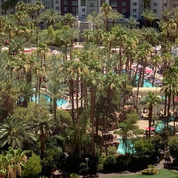 Flamingo Las Vegas - View down to the Pools and Flamingo habitat - Hotels Near Me - Las Vegas, Nevada