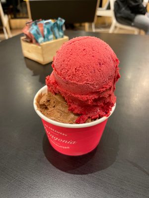 Patagonia Chocolates - Ice Creamery & Chocolaterie by null