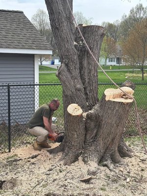 Tree Removal - Tree removal safely eliminates hazardous or unwanted trees, protecting your property and opening space for new projects or landscaping. This service is performed with care and efficiency to ensure minimal disruption and optimal results. Tree Removal - Tree removal safely eliminates hazardous or unwanted trees, protecting your property and opening space for new projects or landscaping. This service is performed with care and efficiency to ensure minimal disruption and optimal results.
