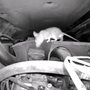 Photo of S&S Pest Management