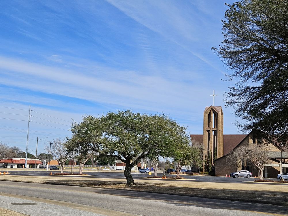 TOP NOTCH LAWNS Updated August 2024 11 Photos 1129 Dozier Rd