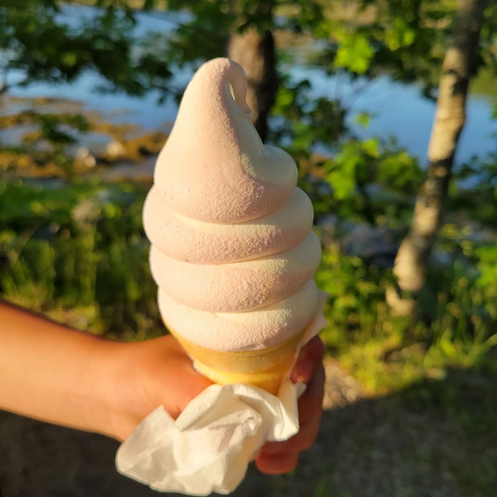 Bagaduce Lunch - If ice cream was the only thing the Bagaduce Lunch served, it would be reason alone to visit.  Pictured is strawberry swirl. - Seafood Near Me - Penobscot, Maine
