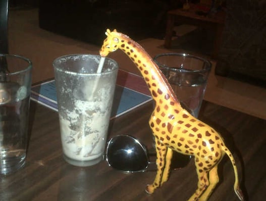 Snakes & Lattes Annex by null