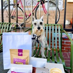 Kumquat Coffee - I think I'm dreaming :) Kennedy (pooch) latte & cb stock up