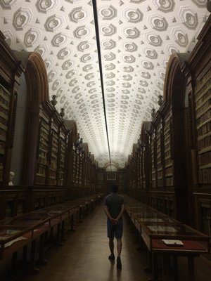 Palatina Library by null