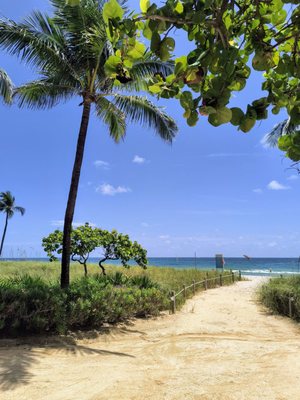 Bal Harbour Beach by null