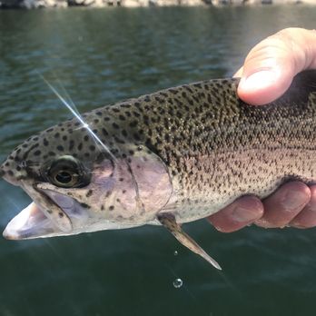 Fishmammoth.com - Fishing Near Me