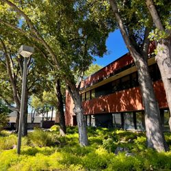 Travis Credit Union - The mature trees really make this branch a permanent fixture of our town.