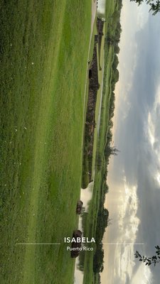 Jota at Royal Isabela by null