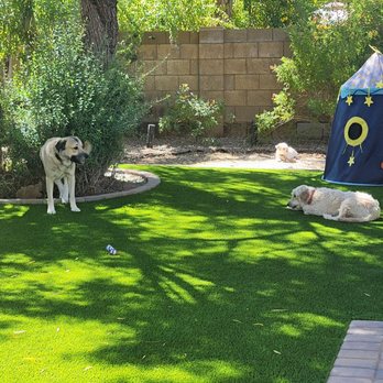 Always Green Turf - Wotk with us the whole way - Artificial Turf Near Me - Mesa, Arizona Always Green Turf - Wotk with us the whole way - Artificial Turf Near Me - Mesa, Arizona
