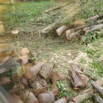 A1 Tree Services - Tree Services Near Me - Cross Lanes, West Virginia A1 Tree Services - Tree Services Near Me - Cross Lanes, West Virginia