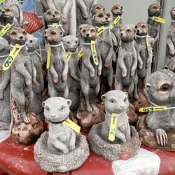 Garden Center Valentin  - Meerkats looking out for their new owners.   Valentin Garden Center, Los Montesinos (Torrevieja), Spain